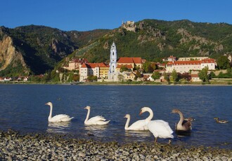 Reise Kreuzfahrt - Donau - Zauber