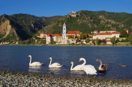  - Donau - Zauber -  bis zu 300 Euro Geburtstagsrabatt