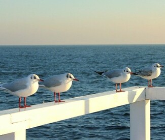 Ostsee ab Kiel