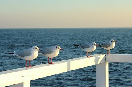  - Ostsee ab Kiel