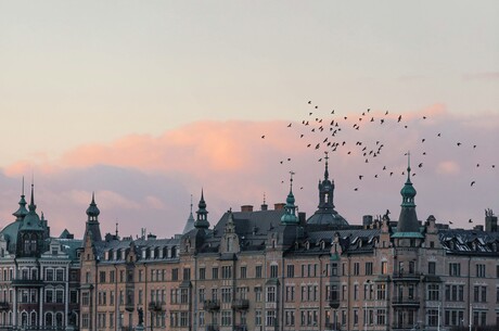 Reise Kreuzfahrt - Faszination Ostsee