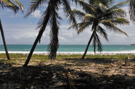  - Karibische Inselabenteuer und Miami-Glamour