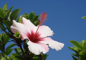 Reise Kreuzfahrt - Kanaren & Madeira mit La Palma