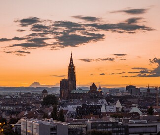 Vielfältige Schönheit auf dem Rhein