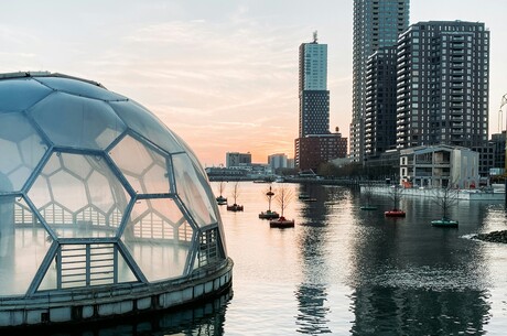 Reise Kreuzfahrt - Ein Blütenmeer für die Sinne