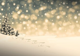 Reise Kreuzfahrt - Donau Weihnachten