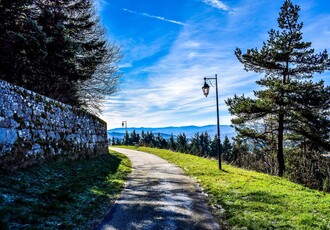 Reise Kreuzfahrt - Rhone und Saone hautnah