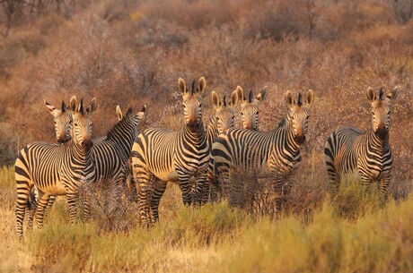  - Von Mallorca über Namibia nach Kapstadt 1