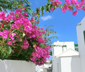 Kanaren mit Madeira