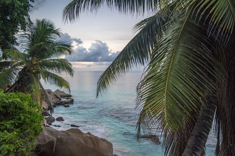 Reise Kreuzfahrt - Von Kap der Guten Hoffnung zu tropischen Paradiesen