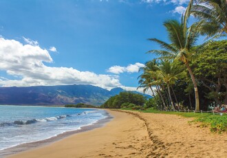 Reise Kreuzfahrt - Rund um Hawaii