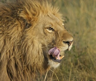 Von Hamburg über die Kanaren nach Kapstadt 2