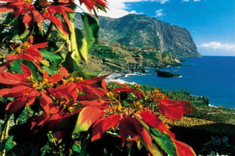 Reise Kreuzfahrt - Kanaren ab Madeira