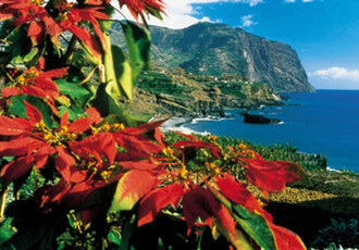 Reise Kreuzfahrt - Kanaren ab Madeira