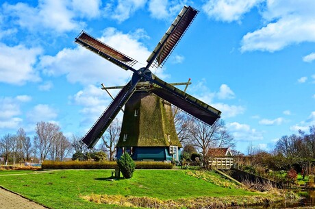 Einzelkabinenreise - Holland Erlebnis
