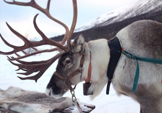 - Winter im hohen Norden