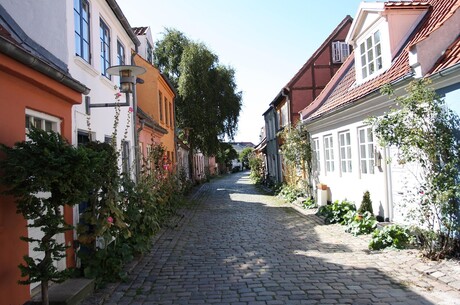 Reise Kreuzfahrt - Kurzreise nach Norwegen ab Warnemünde