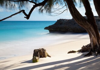 Reise Kreuzfahrt - Karibik ab/bis Miami