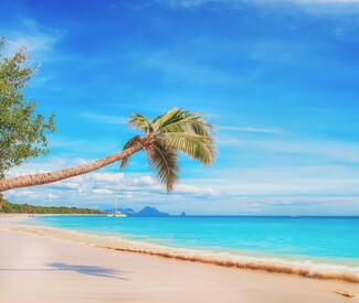 Von der Dominikanischen Republik nach Hamburg