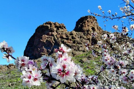  - Große Kanaren-Rundreise & Madeira