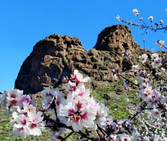 Große Kanaren-Rundreise & Madeira