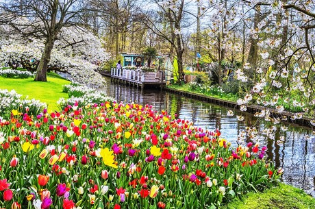  - Holland - Flandern mit der MS GLORIA