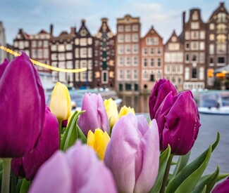 Charmantes Amsterdam