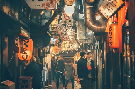  - Vom faszinierenden Japan ins bunte Vietnam