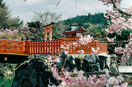  - Rund um Japan ab/bis Tokyo (Yokohama)