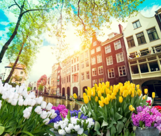 Entdeckerreise nach Amsterdam