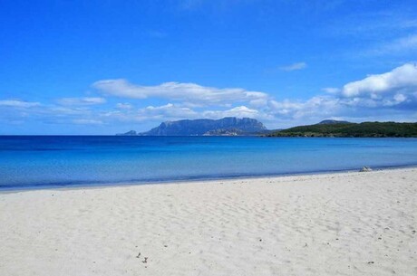  - Italien - Frankreich - Spanien
